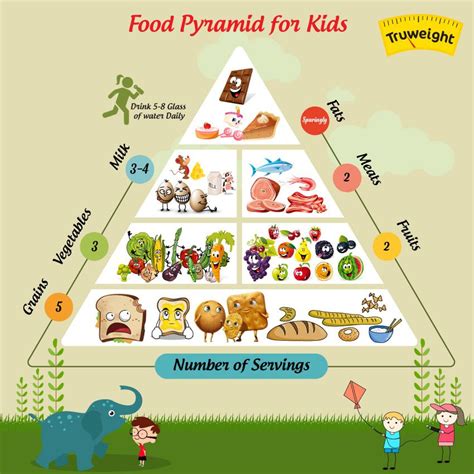 5 Building Steps Of A Food Pyramid You Should Know Food Pyramid Food