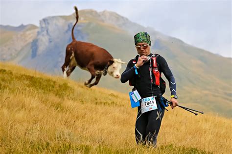 Utmb Everything You Need To Know Outsiderie