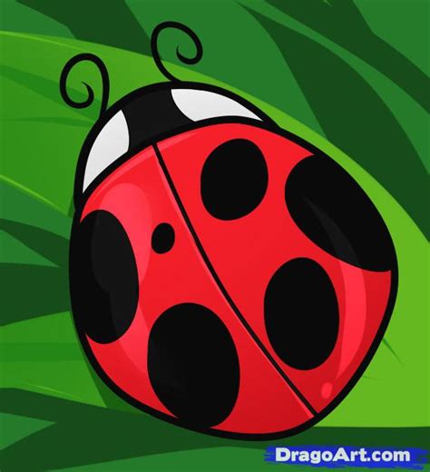 Draw a circle to begin your drawing. Free Ladybug Drawing, Download Free Ladybug Drawing png ...