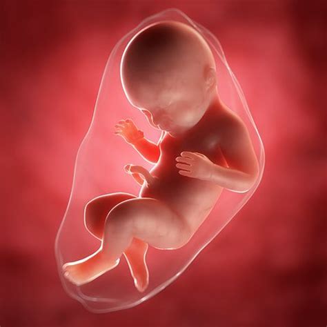 9 weeks pregnancy recommendations for women. 7 Things Spotting During Pregnancy Could Mean - Spotting ...