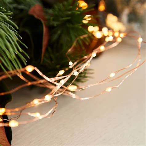 Thank you for choosing this model! LED Spray String Lights | West Elm