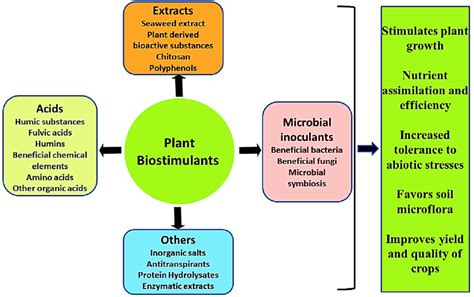 Schematic Representation Of The Different Types Of Plant Biostimulants