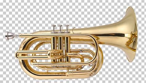 Cornet Mellophone Marching Euphonium Baritone Horn Png Clipart Alto