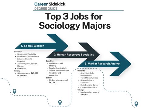 Top 15 Sociology Degree Jobs Career Sidekick