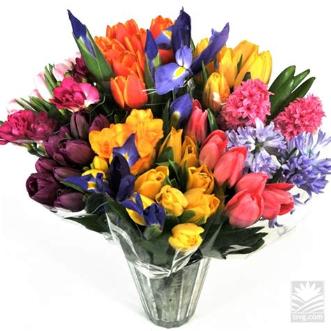 Spring In A Vase All Cagrown World Of Color Plants Color