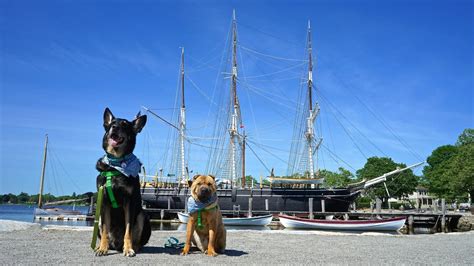 Connecticut's Top Pet Friendly Attraction: Mystic Seaport