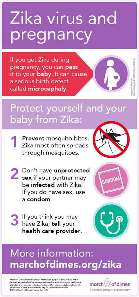 Zika Virus And Pregnancy Infographic March Of Dimes