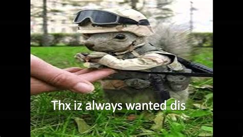 If you look at the combination of animal images with funny you can download these animal pictures with captions freely from here and make use of them anywhere in take offline funny things online about pet. Pictures of Animals doing cute,funny, and cool things ...