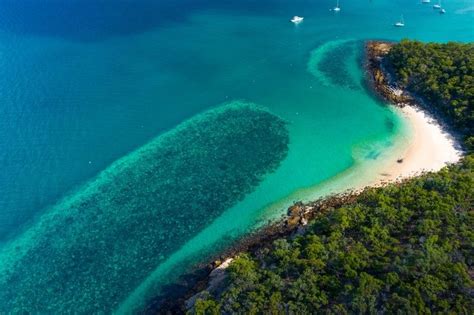 Things To Do On Great Keppel Island Gki Hideaway