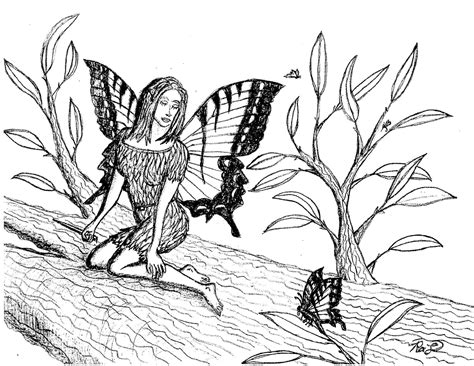 Robin S Great Coloring Pages Tiger Swallowtail Fairy In A Willow Tree