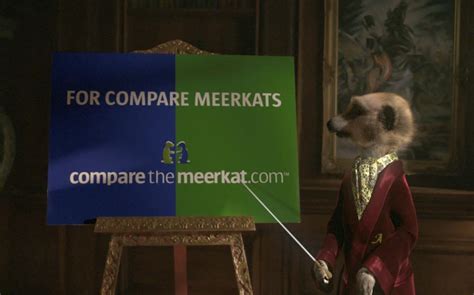 Go Compare The Market Insurance - Tabitomo