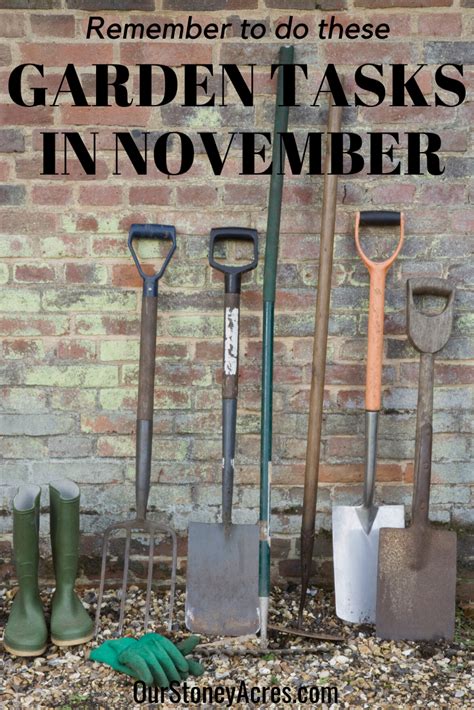 7 November Garden Tasks You Still Need To Do Our Stoney Acres