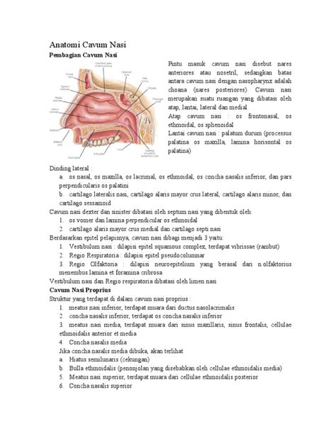 Anatomy Cavum Nasi Pdf