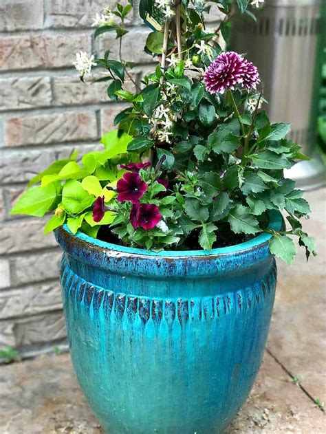 Check spelling or type a new query. flower-pot-planting-ideas8