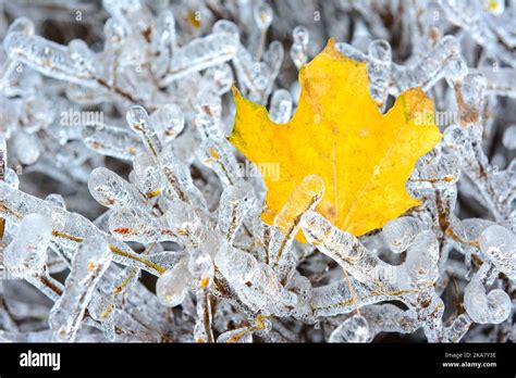 Toronto Canada Freezing Rain Covering Diverse Surfaces In Outdoor