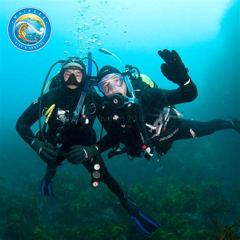 Diving is the sport of jumping or falling into water from a platform or springboard, usually while performing acrobatics. Discover Scuba Diving (Try Dive) - Waiheke Dive & Snorkel LTD
