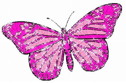 Glitter Graphics Butterfly Sparkle Sparkles Animals Animated