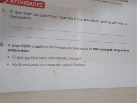 Você Concorda Com A Afirmação Que Essa Frase Traz Justifique