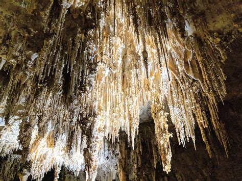 Stalactites Inside Of Carlsbad Caverns National Park Nm 4032x3024 Oc