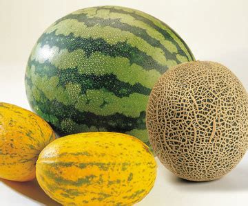 We did not find results for: Rise Above Your Limits: Companion Planting - Part 2