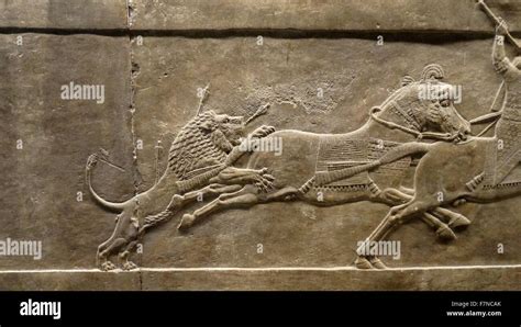 Return From The Lion Hunt Panel From The North Palace At Nineveh Iraq