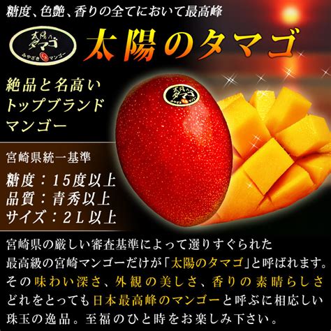 Miyazaki is the king of mangoes, world wide! 【楽天市場】【シーズンオフ】【宮崎マンゴー 太陽のタマゴ 2Lサイズ2玉化粧箱】マンゴー お中元 御中元 フルーツ ...