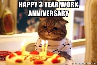 These work anniversary memes and work anniversary messages make them feel part of a family. Happy 3 Year Work Anniversary - Birthday Cat | Meme Generator