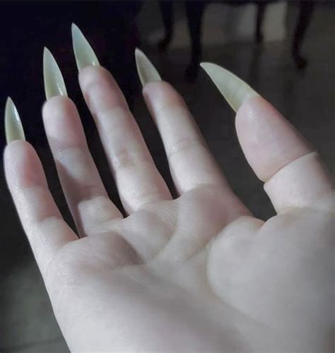Untitled Long Natural Nails Sharp Nails Vampire Nails
