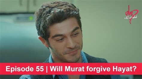 Pyaar Lafzon Mein Kahan Episode 55 Will Murat Forgive Hayat Youtube