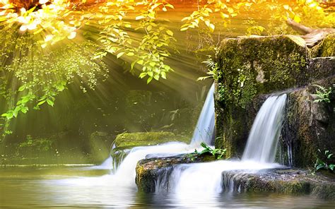 77 Nature Background Images On Wallpapersafari