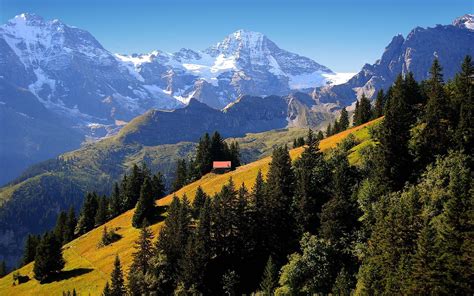 Berner Mountains Switzerland My Heritage Deep Sea Planet Earth Old