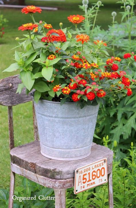 Beautiful Container Gardening Flowers 270 Container