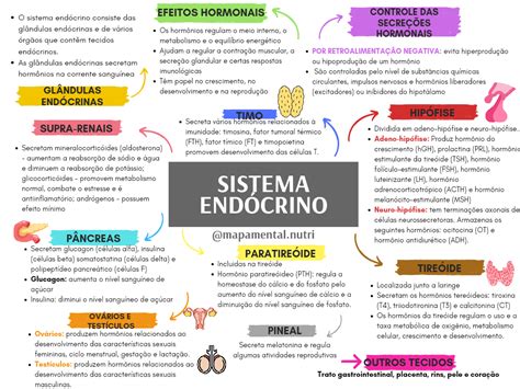 Mapa Mental Sistema Endócrino ENSINO