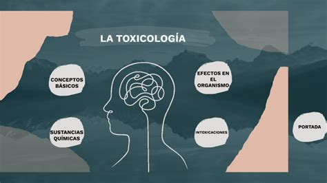 la toxicología y sus efectos en nuestro organismo by Daniela Lazcano on