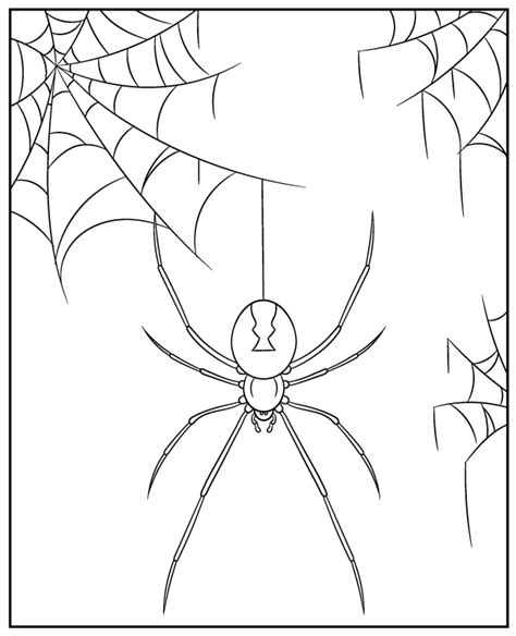 Spider Black Widow Coloring Page