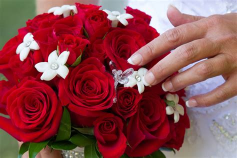 Free Images Bunch Petal Red Pink Wedding Bride Floristry