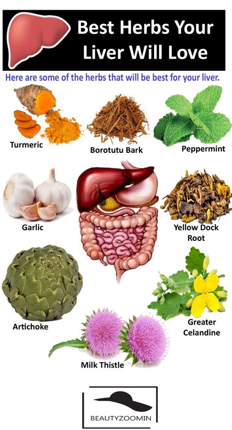 Best Herbs Your Liver Will Always Love Full List Of Plants Healthy Liver Liver Health Herbs