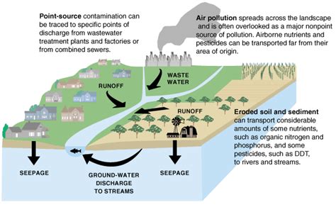73 Water Pollution Environmental Biology