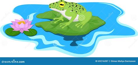 Frog Sitting On Water Lily Leaf Stock Illustration Illustration Of
