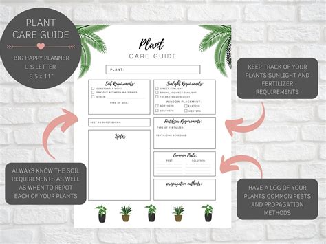 Plant Care Guide Printable Plant Care Sheet Big Happy Etsy