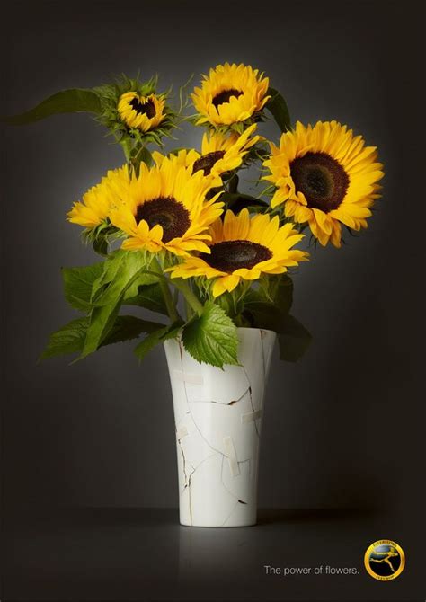 Le flowers, lee e flower. The power of the flowers - Le pouvoir des fleurs