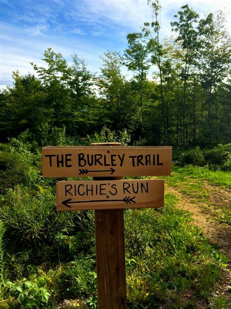 Check spelling or type a new query. Trail markers at Camp Birch Hill! | Diy backyard, Trail ...