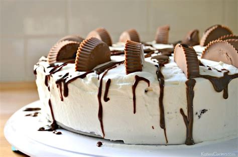 Peanut Butter Chocolate Ice Cream Cake Recipe Ice Cream Cake