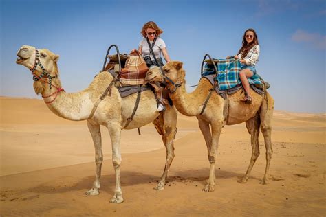 This post demonstrates how to upload and download (and read) files to and from an sftp server using spring boot and apache camel. Use of Animals in Tourist Spots may Cause Covid-Like ...