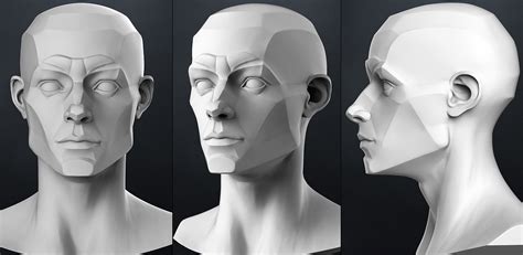 Planes Of The Head Male 3d Model Obj