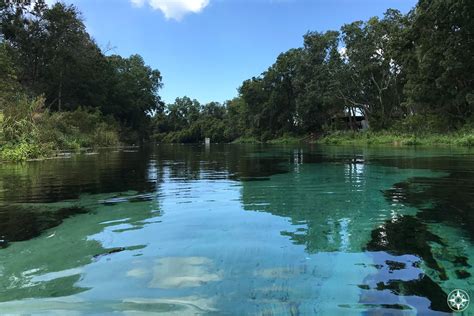 Photos From The Weeki Wachee River And Springs State Park Florida