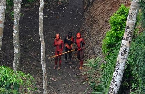 Uncontacted Tribe Photographed In Brazilian Jungle Indigenous Tribes