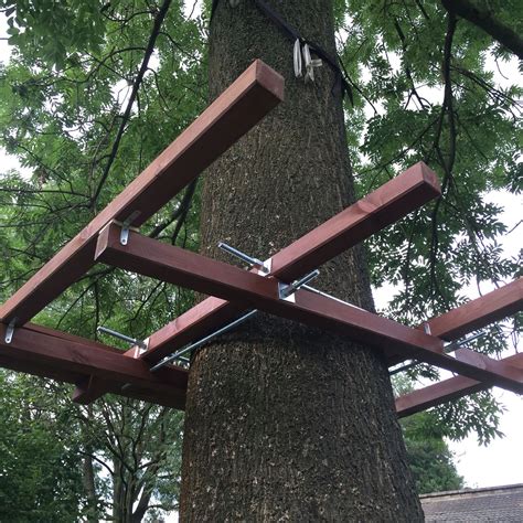 Budowa Platformy Na Drzewie Building Platform On The Tree Tree