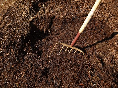 Using organic mulch in your yard or garden beds can conserve water, shield plant roots, improve the health of the soil, preserve soil temperature, and organic mulches include wood chips, straw, grass clippings, chopped leaves, and compost. MCGA Board Blog: How to Put Your Garden to Bed for the Winter
