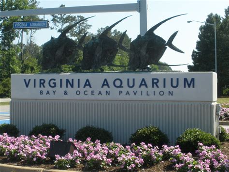 Merles Whirls Virginia Beach Aquarium